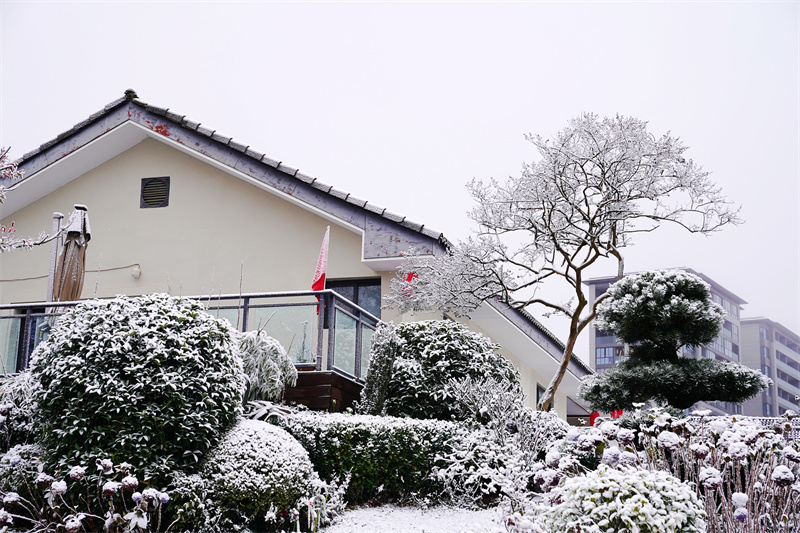 賞敘永羅漢林雪景宛若童話世界