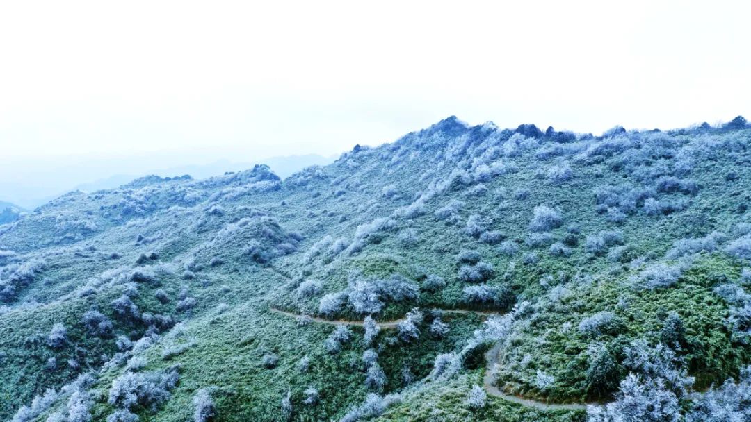 邂逅冰雪奇缘泸州罗汉林迎初雪